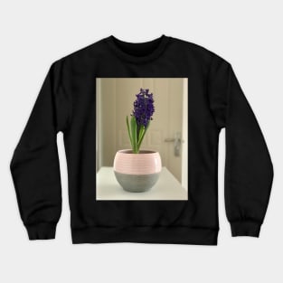 Fragrant purple home hyacinth vase Crewneck Sweatshirt